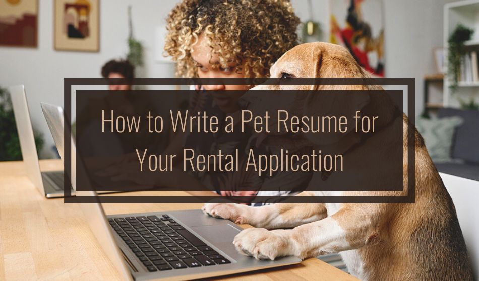 Pet-Friendly Perfection: Details for Ideal Rental Living