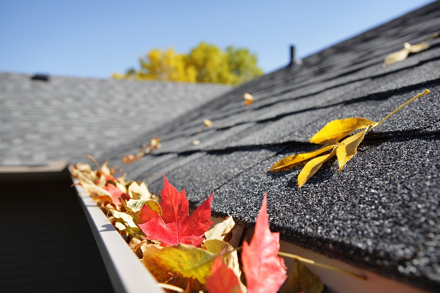Fall Maintenance for your Rental Properties