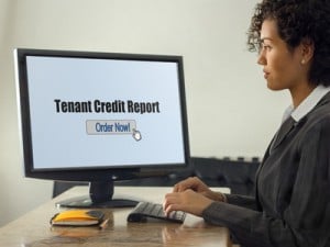 tenant credit report 
