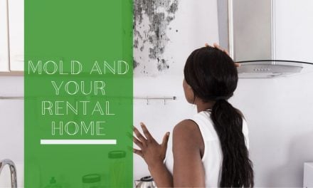 Mold and Your Rental Home