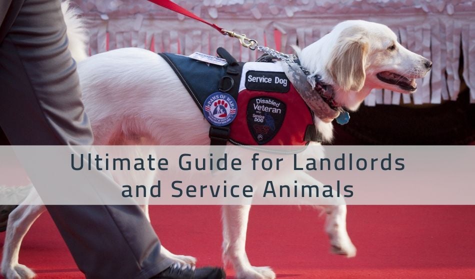 Ultimate Guide for Landlords and Service Animals