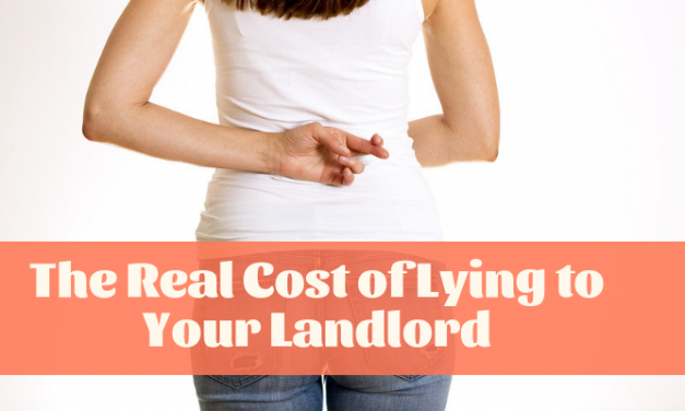 The Real Cost of Lying to Your Landlord