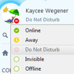 Skype Do Not Distrub
