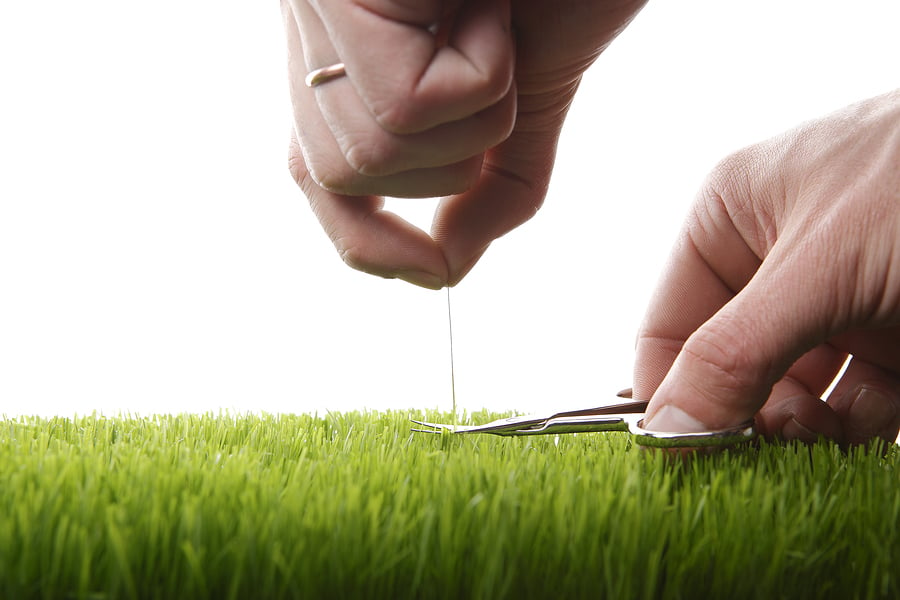 The Lay of the Lawn: Rules and Responsibility for Lawn Care