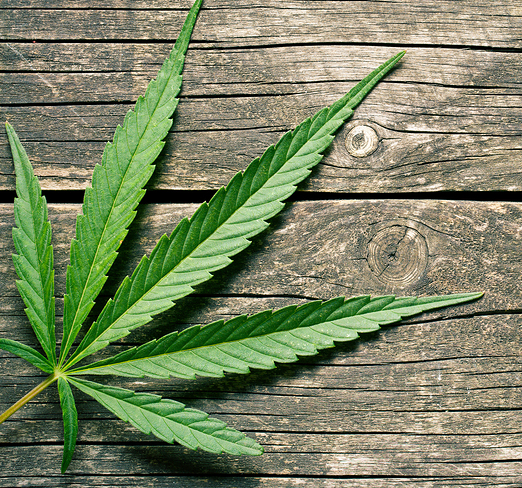 Legal Recreational Marijuana: What Landlords Needs to Know