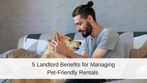 pet-friendly rentals