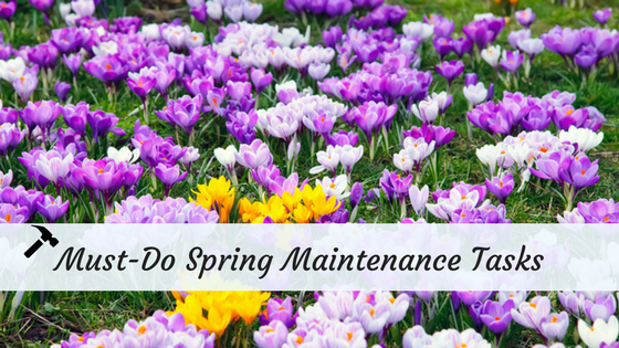 spring maintenance 