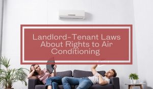 landlord tenant responsibilities rentecdirect