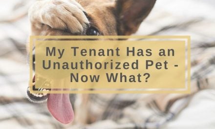 My Tenant Has an Unauthorized Pet – Now What?