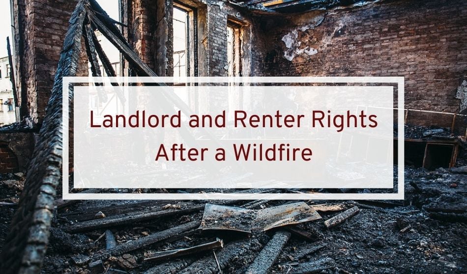 Landlord and Renter Rights After a Wildfire