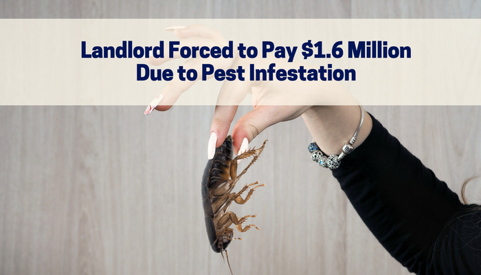 Landlord Forced to Pay $1.6 Million Due to Pest Infestation