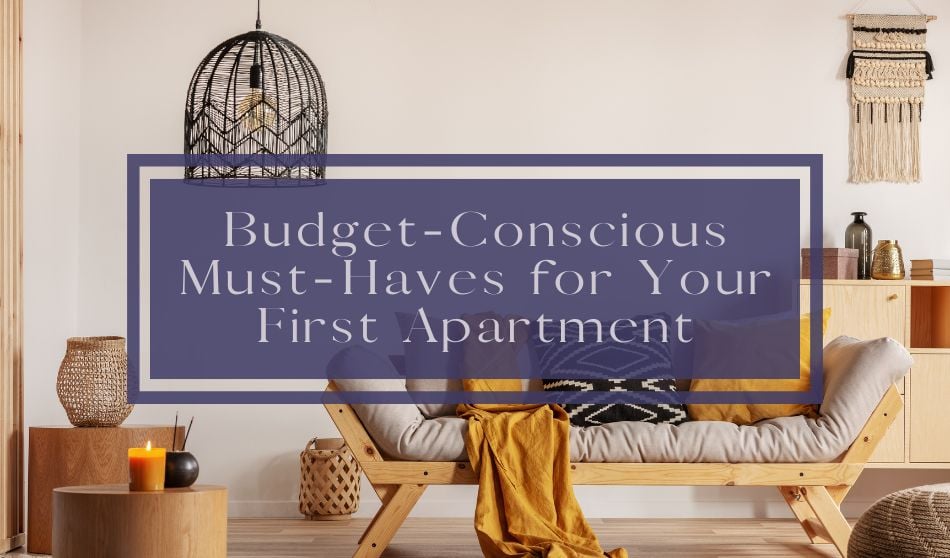 Budget-Conscious Must-Haves for Your First Apartment