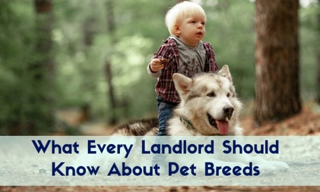 What Every Landlord Should Know About Pet Breeds