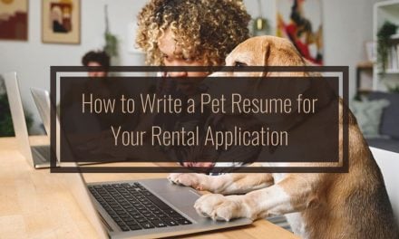 How to Write a Pet Resume For Your Rental Application