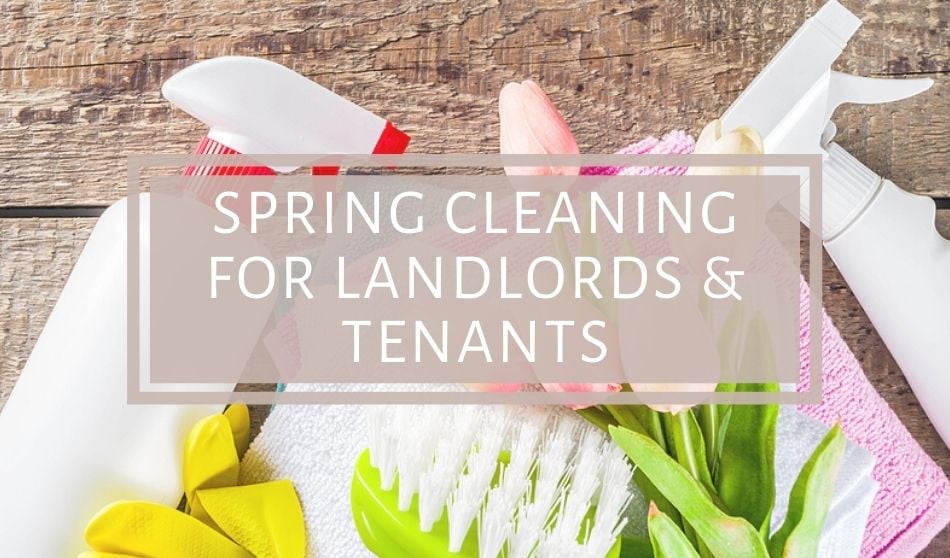 Spring Cleaning for Landlords & Tenants