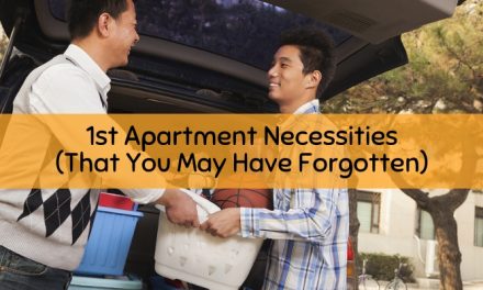 1st Apartment Necessities (That You May Have Forgotten)