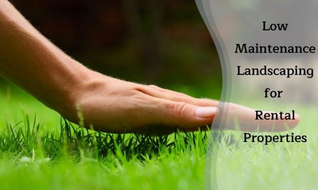 Low Maintenance Landscaping for Rental Properties