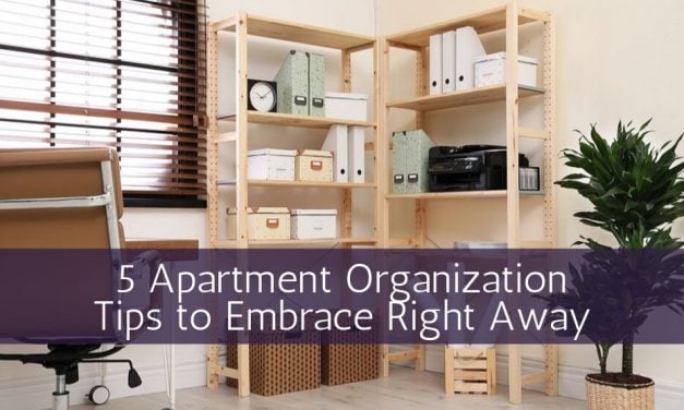 5 Apartment Organization Tips to Embrace Right Away