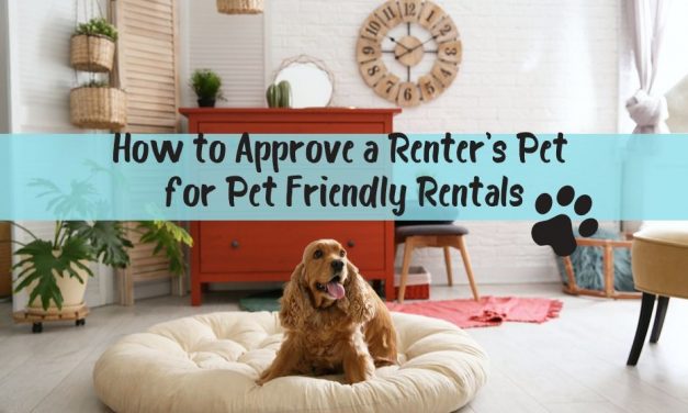 How to Approve a Renter’s Pet for Pet Friendly Rentals