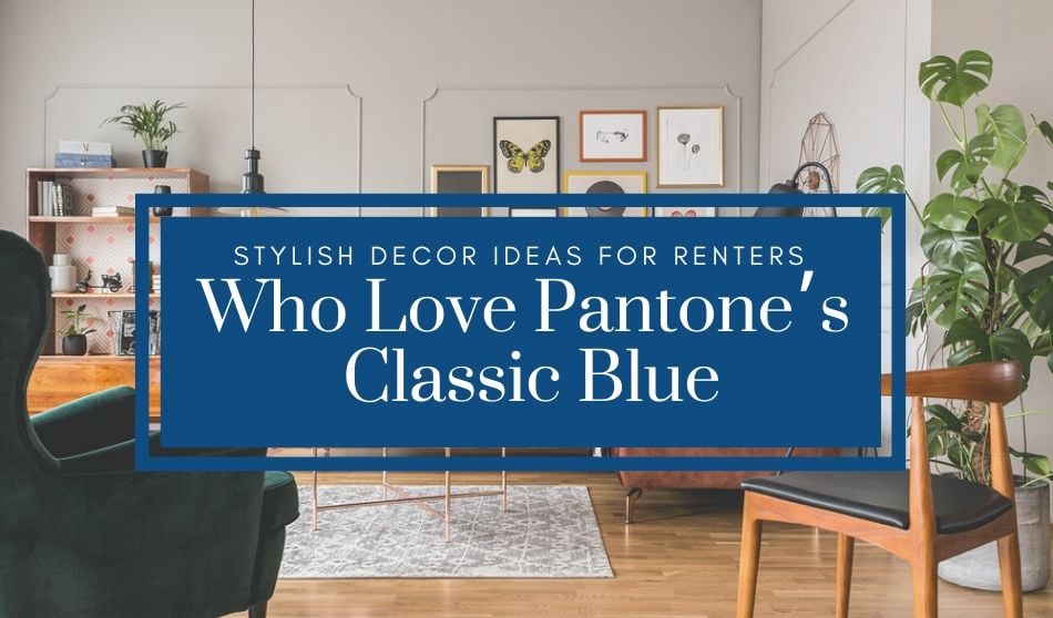 Decor Ideas for Renters