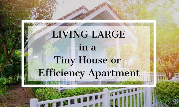 Rental Trends: Living Large in a Tiny House or Efficiency Apartment