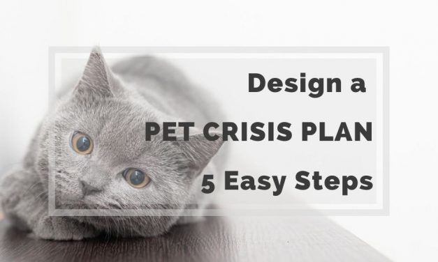 Design a Pet Crisis Plan in 5 Easy Steps
