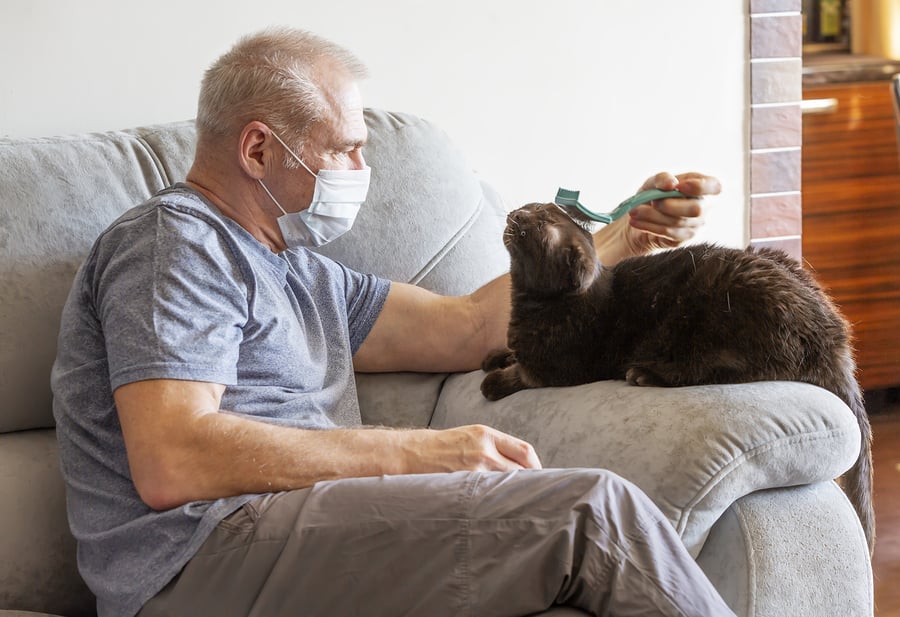 Have a pet preparedness plan in place for your cat if you become ill