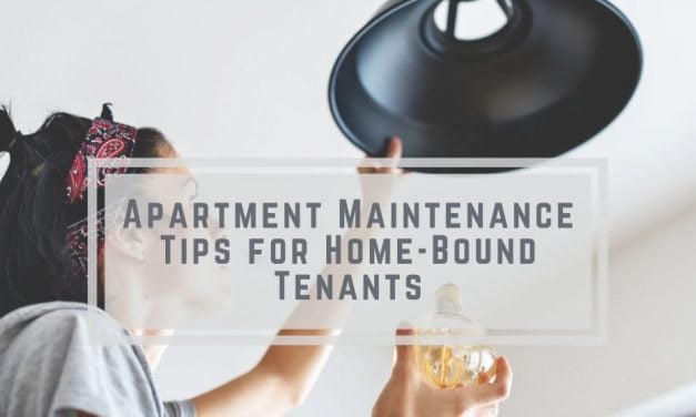 Apartment Maintenance Tips for Home-Bound Tenants