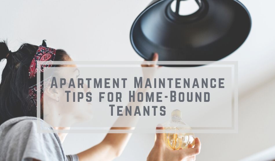 Apartment Maintenance Tips for Home-Bound Tenants