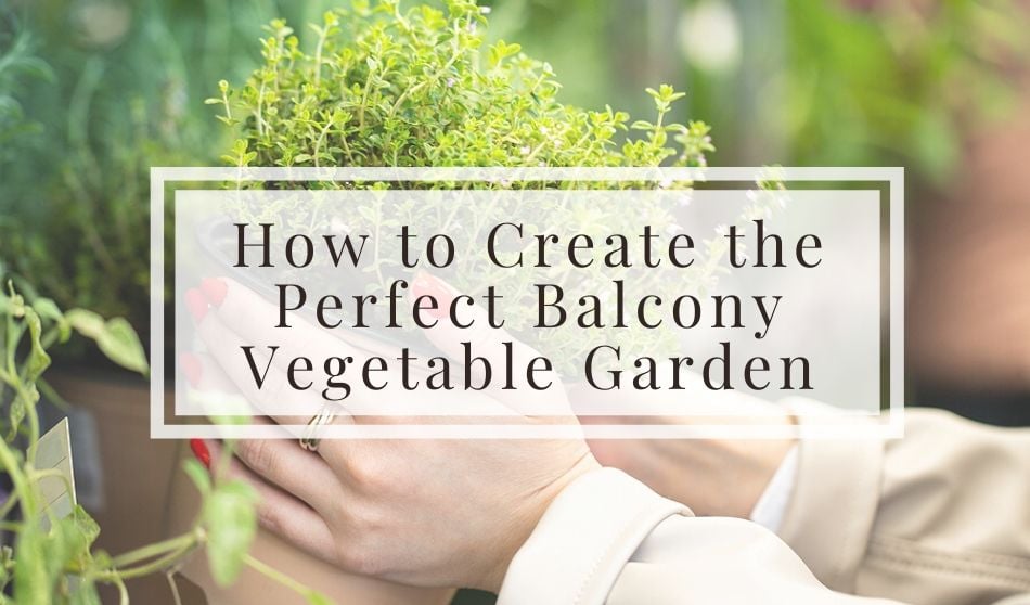balcony vegetable garden