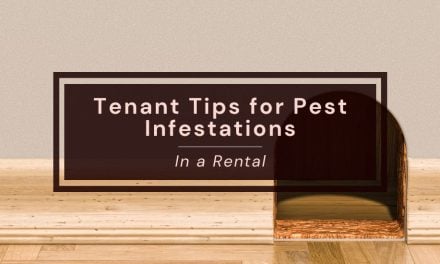 Tenant Tips for Pest Infestations in a Rental