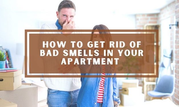 How to Get Rid of Bad Smells in Your Apartment