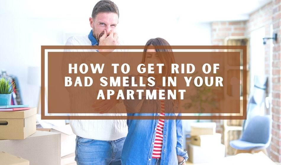 deodorize apartment tips