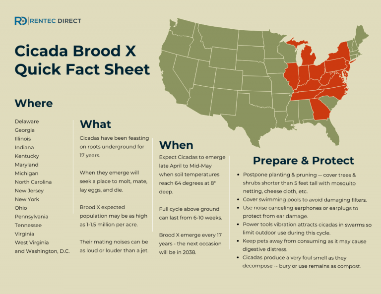 Billions of Brood X Cicadas to Emerge in 15 States Infographic