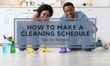 How to Make a Cleaning Schedule | Tips for Renters