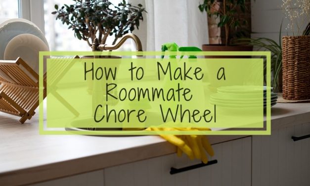 How to Make a Roommate Chore Wheel | Tips for Renters