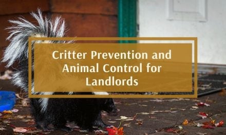 Critter Prevention and Animal Control for Landlords