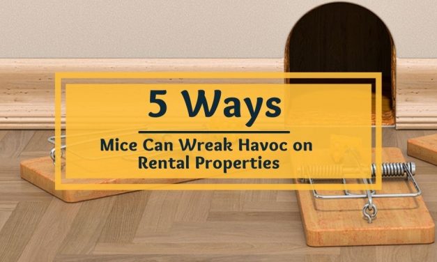 5 Ways Mice Can Wreak Havoc on Your Rental Properties