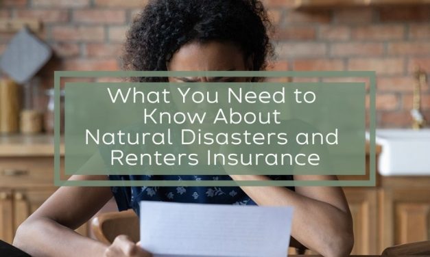 What You Need to Know About Natural Disasters and Renters Insurance