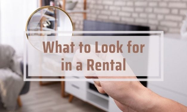 What to Look for in a Rental