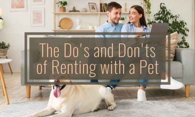 The Do’s and Don’ts of Renting With a Pet