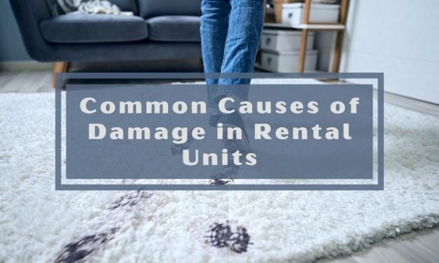 Common Causes of Damage in Rental Units