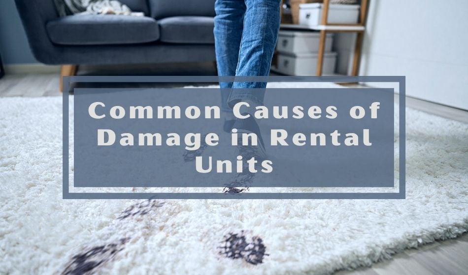 Common Causes of Damage in Rental Units