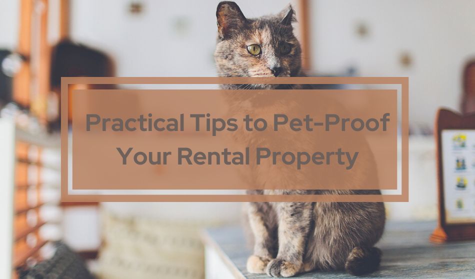 Practical Tips to Pet-Proof Your Rental Property