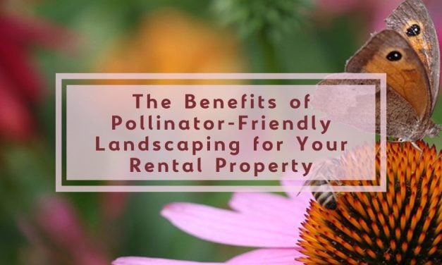 The Benefits of Pollinator-Friendly Landscaping for Your Rental Property