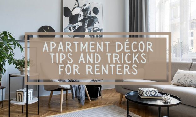 Apartment Décor Tips and Tricks for Renters