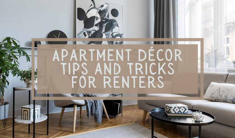 View of Apartment Décor Tips and Tricks for Renters