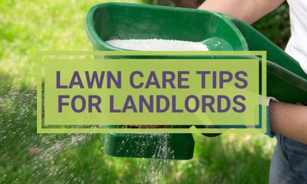 Lawn Care Tips for Landlords