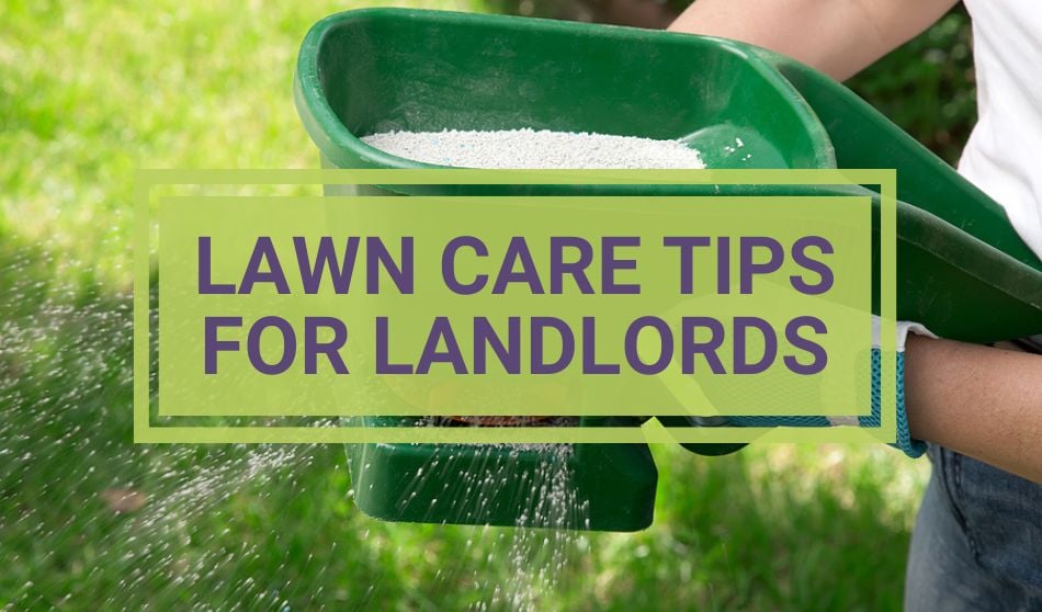 Lawn Care for Landlords