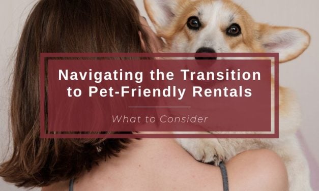Navigating the Transition to Pet-Friendly Rentals: What to Consider